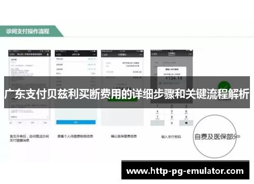 广东支付贝兹利买断费用的详细步骤和关键流程解析 广东支付贝兹利买断费用的详细步骤和关键流程解析