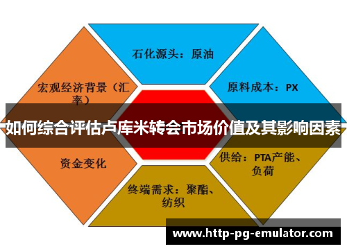 如何综合评估卢库米转会市场价值及其影响因素