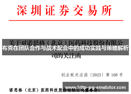 布克在团队合作与战术配合中的成功实践与策略解析